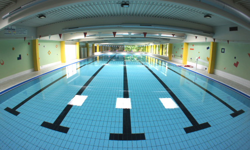 Sport- und Bildungszentrum Malente Schwimmhalle Becken